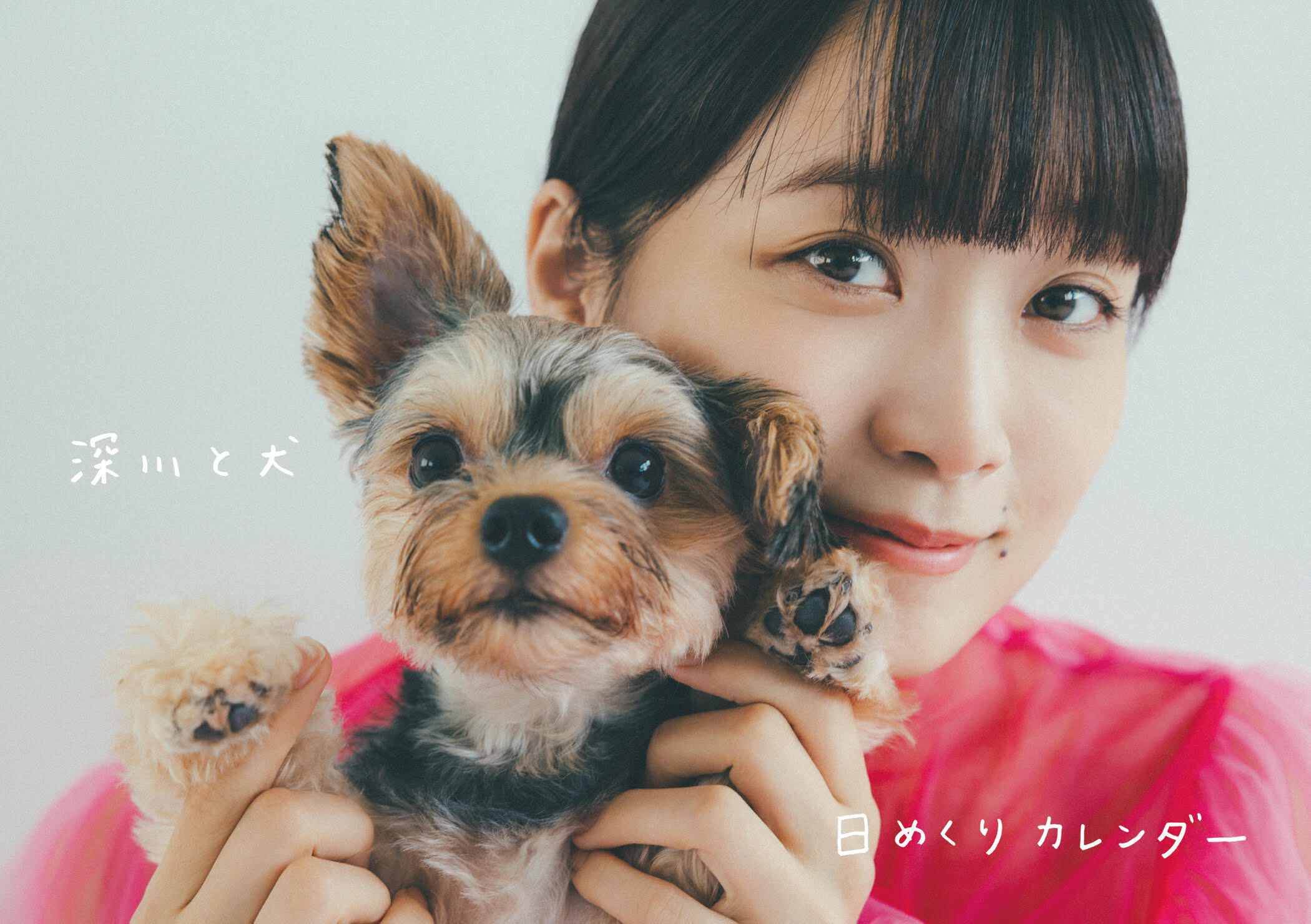 MEMBER'S限定】日めくりカレンダー | 深川麻衣 | 深川麻衣 official