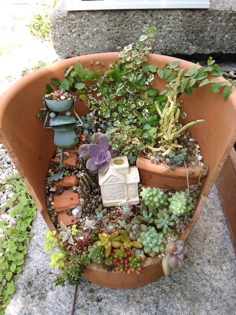 ガーデニング初心者《簡単》園芸プランターの初め方！自由な置き場所