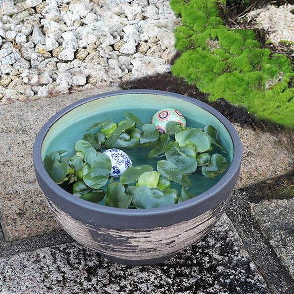 信楽焼 11号はけ目水鉢 メダカ鉢 金魚鉢 | JTBのふるさと納税サイト