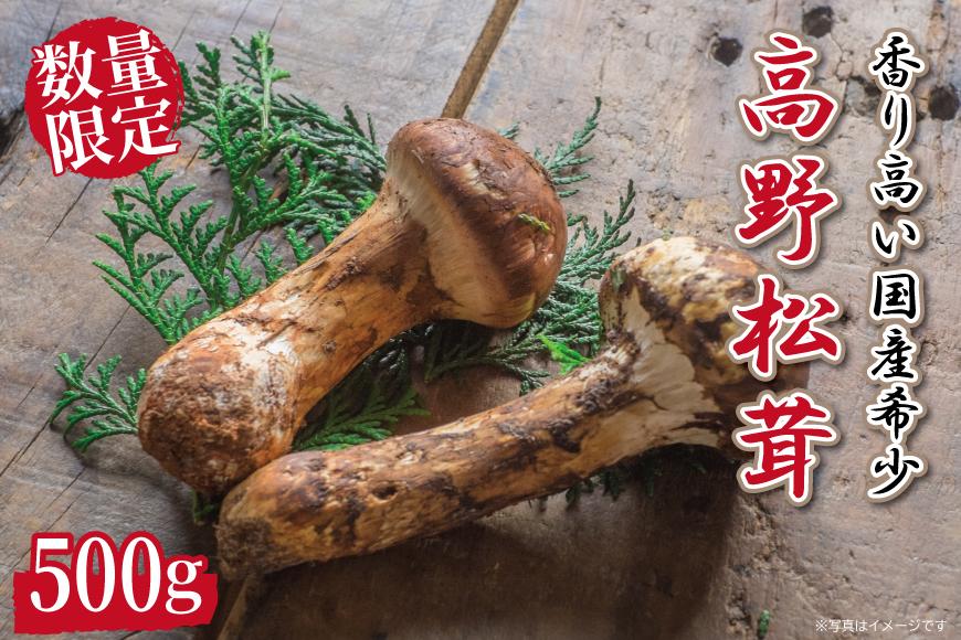 先行予約 国産松茸 約500g 数量限定 香り高く希少【和歌山県高野町産