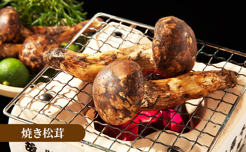 宮古の天然まつたけ600g 宮古産 まつたけ 天然まつたけ きのこ 野菜