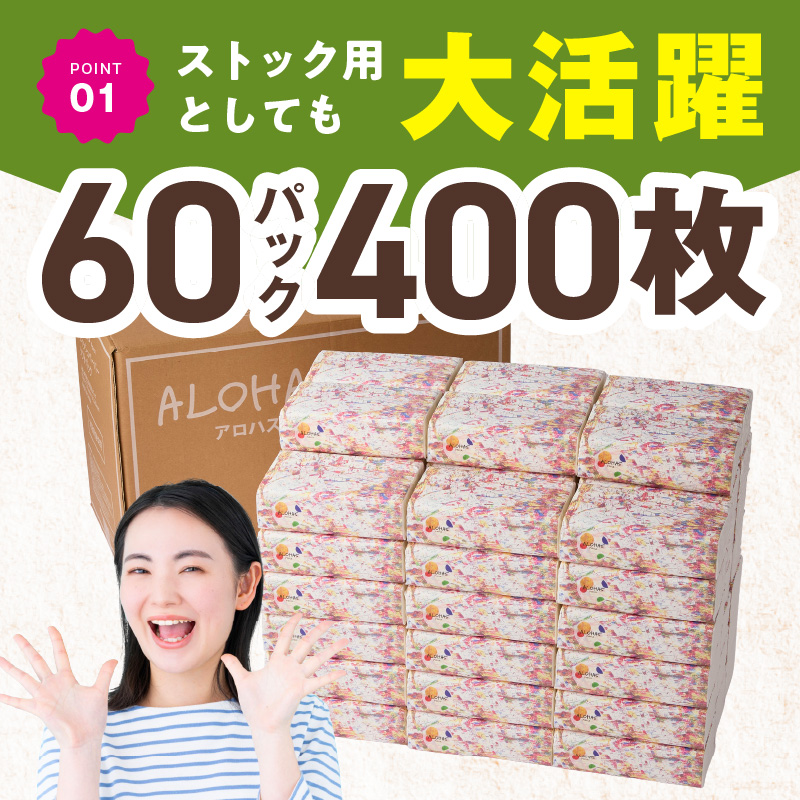 ソフトパックティッシュ 60パック×400枚 200組【ピュアパルプ100％ 高