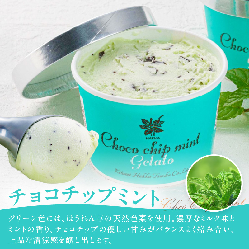 ミントジェラート1L 2種×1個 ( ジェラート アイス アイスクリーム