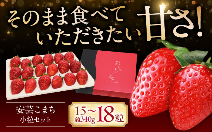 先行予約】【12月下旬から順次発送】水素水で育ったいちご「安芸こまち