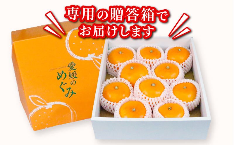 せとか 2 ~ 3kg 贈答用 矢野青果 柑橘の 大トロ 高級 希少 限定 品種