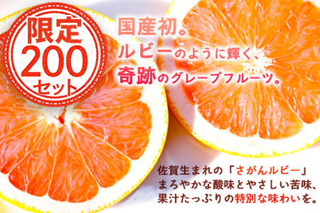数量限定【先行予約】日本初！幻の国産グレープフルーツ！【さがん