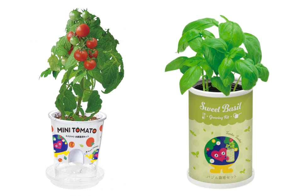 おうちで育てる「トゥンクトゥンク」栽培セット発売｜Future Earth