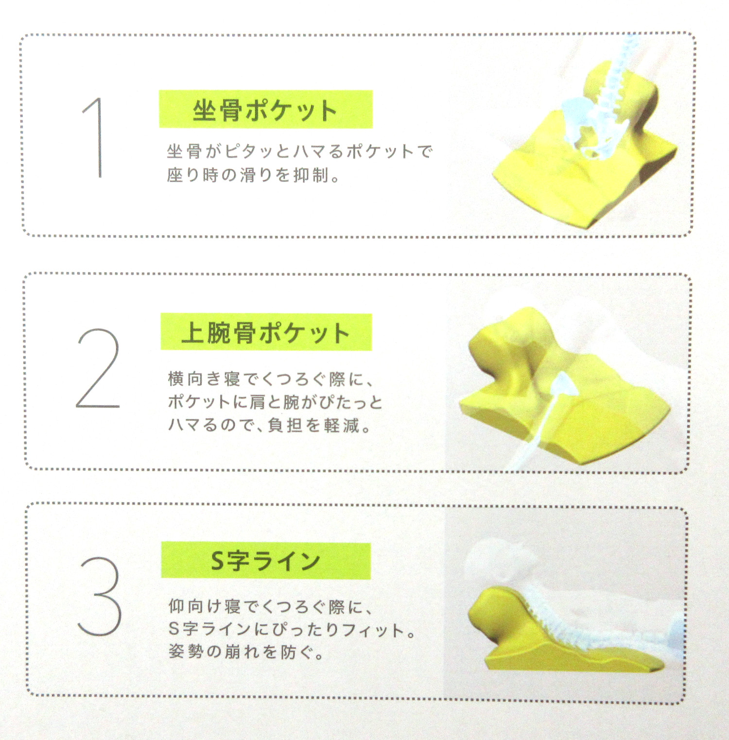 長谷川慎 クッション feature_hasegawa_aw_mv_pc.jpg