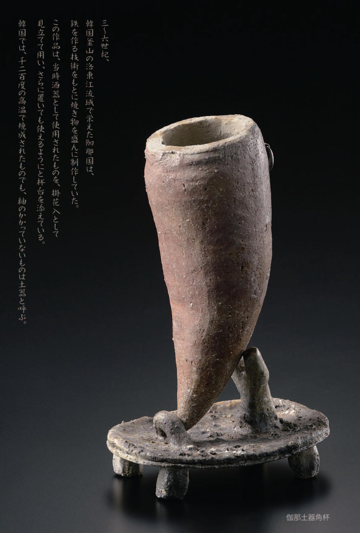 yasunori10.jpg