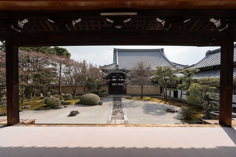 妙顕寺 4つの枯山水を巡れる寺院 -庭園ガイド