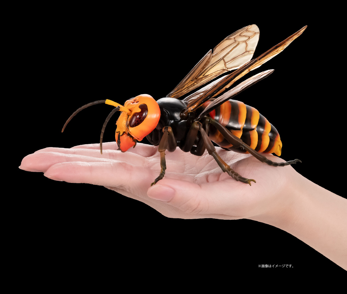 いきもの大図鑑アドバンス スズメバチ｜いきもの大図鑑｜ガシャポン