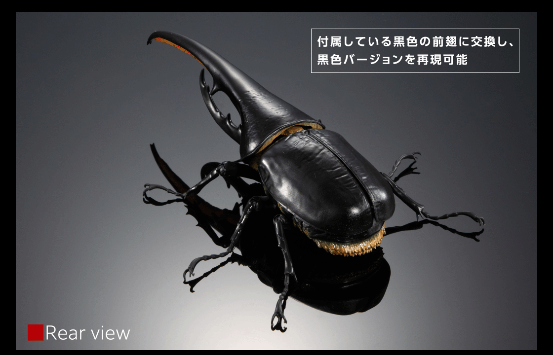 いきもの大図鑑プレミアム ヘラクレスオオカブト（ヘラクレス