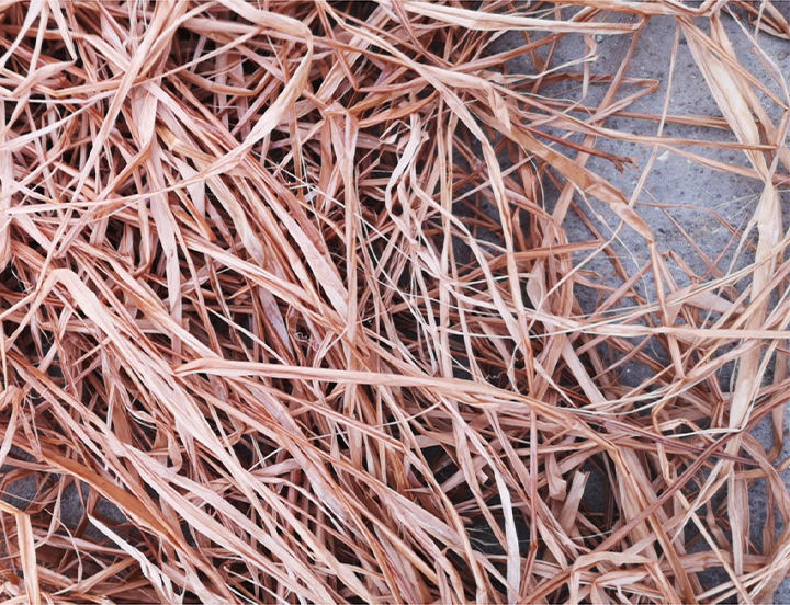 聴こえる、自然の息づかい「ジェンマ」｜革財布、バッグのgenten