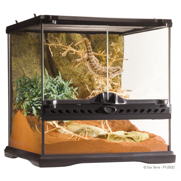 Exo Terra Glass Terrarium – Gecko Gurl