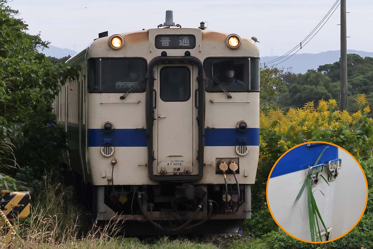 九州最南端を走る「指宿枕崎線」−−究極のローカル線珍道中の巻 | 4