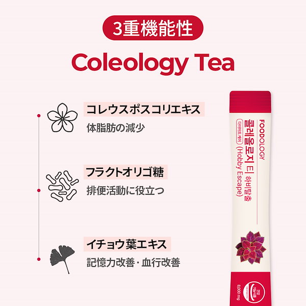 Qoo10] FOODOLOGY 【食後ダイエットサポート】【1ヶ月セット