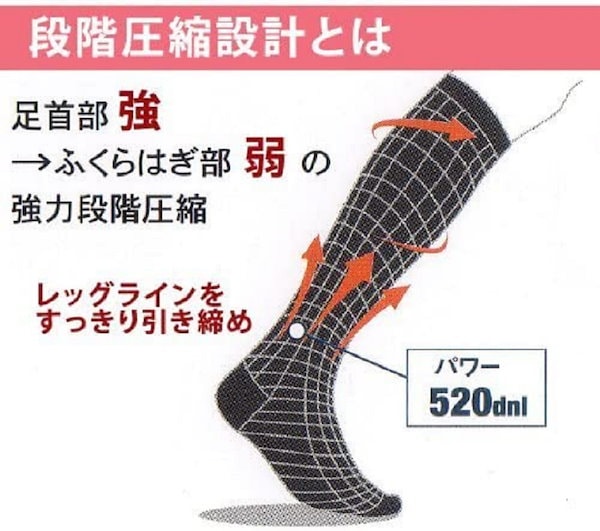 Qoo10] LALA Grant エナジック ハイソックス 2足組【正規品