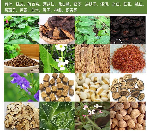 Qoo10] ダイエットシール スリムパッチ 中国ダイ