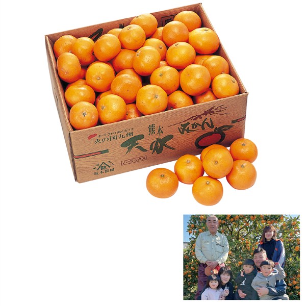 熊本県産 特別栽培坂本さんの天水みかん[yd70] - SEIYUドットコム ギフト館