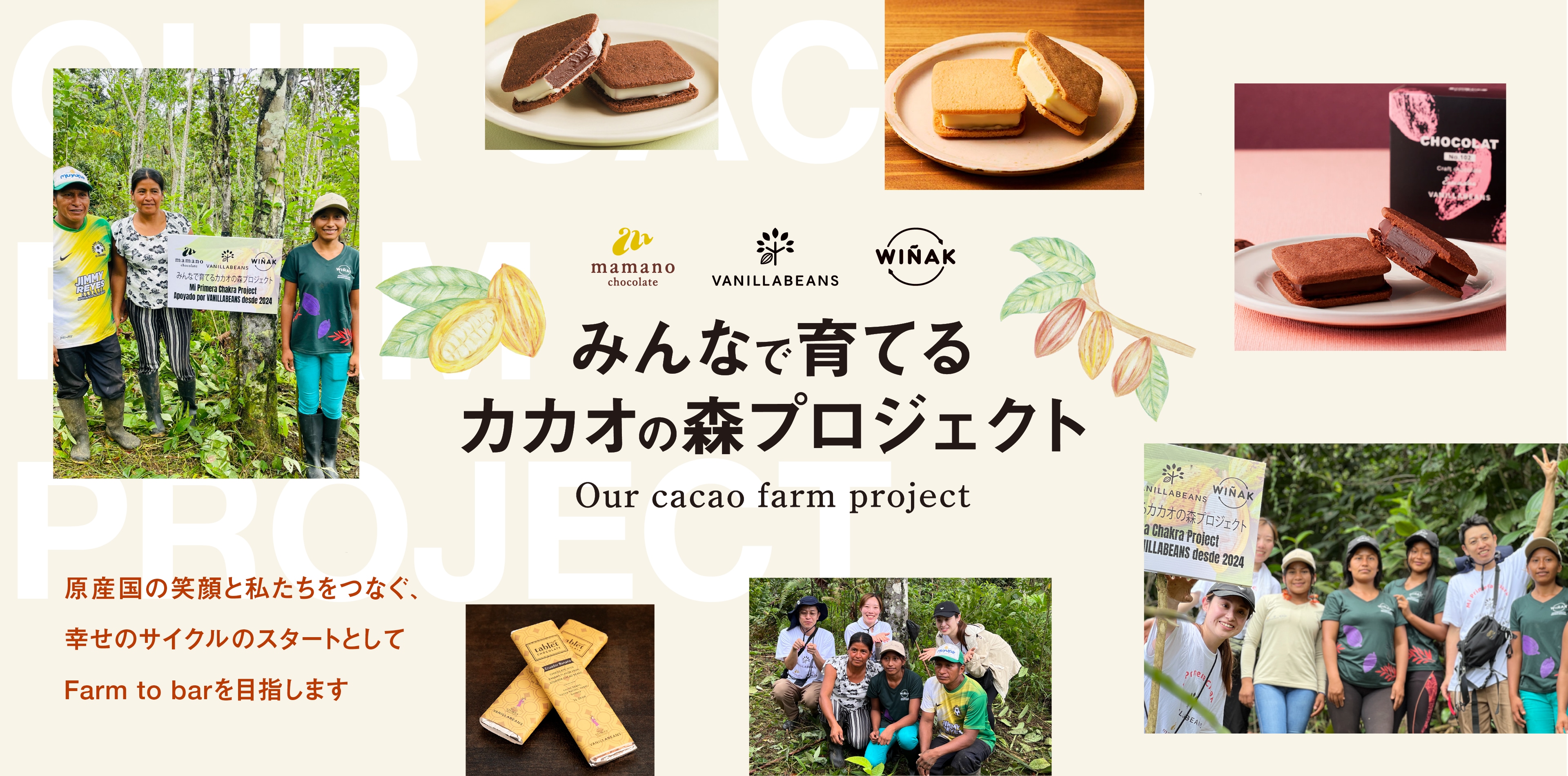 バニラビーンズ みんなで育てるカカオの森プロジェクト | 横浜