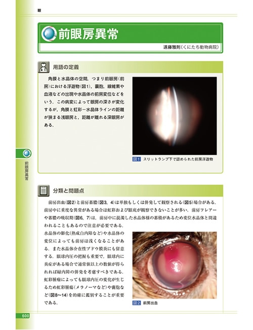 プライマリ・ケアのための診療指針 - 犬と猫の内科学 -│獣医学書籍