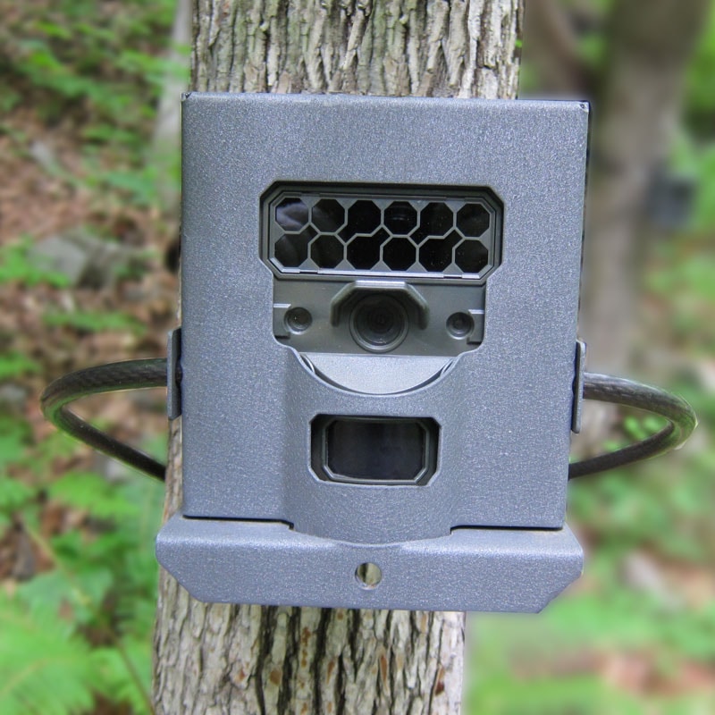 野生動物自動撮影カメラ、センサーカメラはReconyx（レコニクス