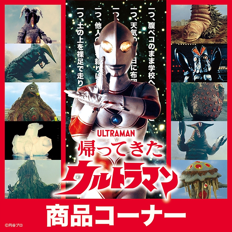 プロフ必見 評価、連絡ルーズな人」専用です 当時物 帰ってきた