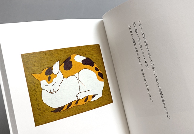熊谷守一の猫｜求龍堂