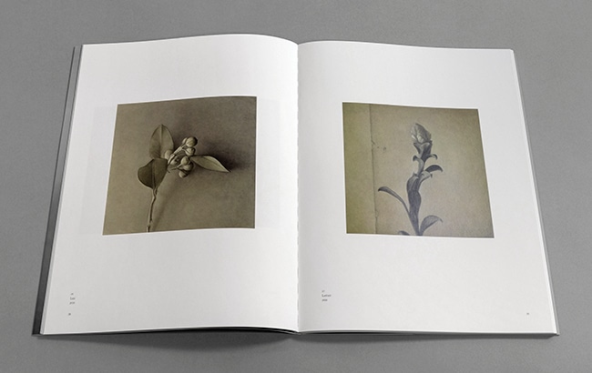 ☆限定サイン本 益村千鶴 FRUCTUS｜求龍堂