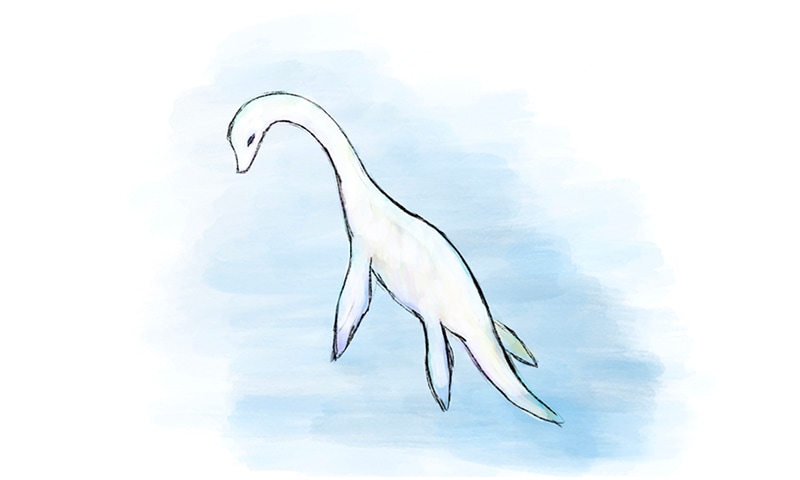 特装BOX 】進化論 土屋仁応｜求龍堂