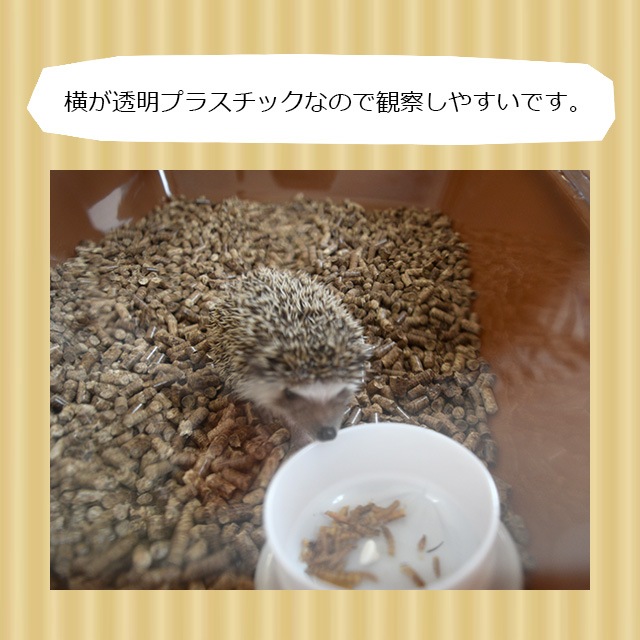 CASA マルチプレイス ハリネズミ専用ケージ おしゃれ マルカン 【大型