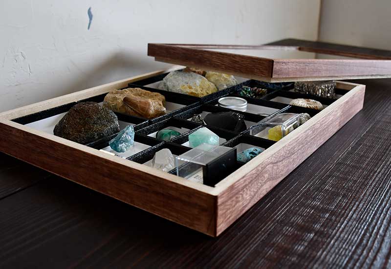 ガラスふた標本箱/大 -ニチカ製 標本小箱-