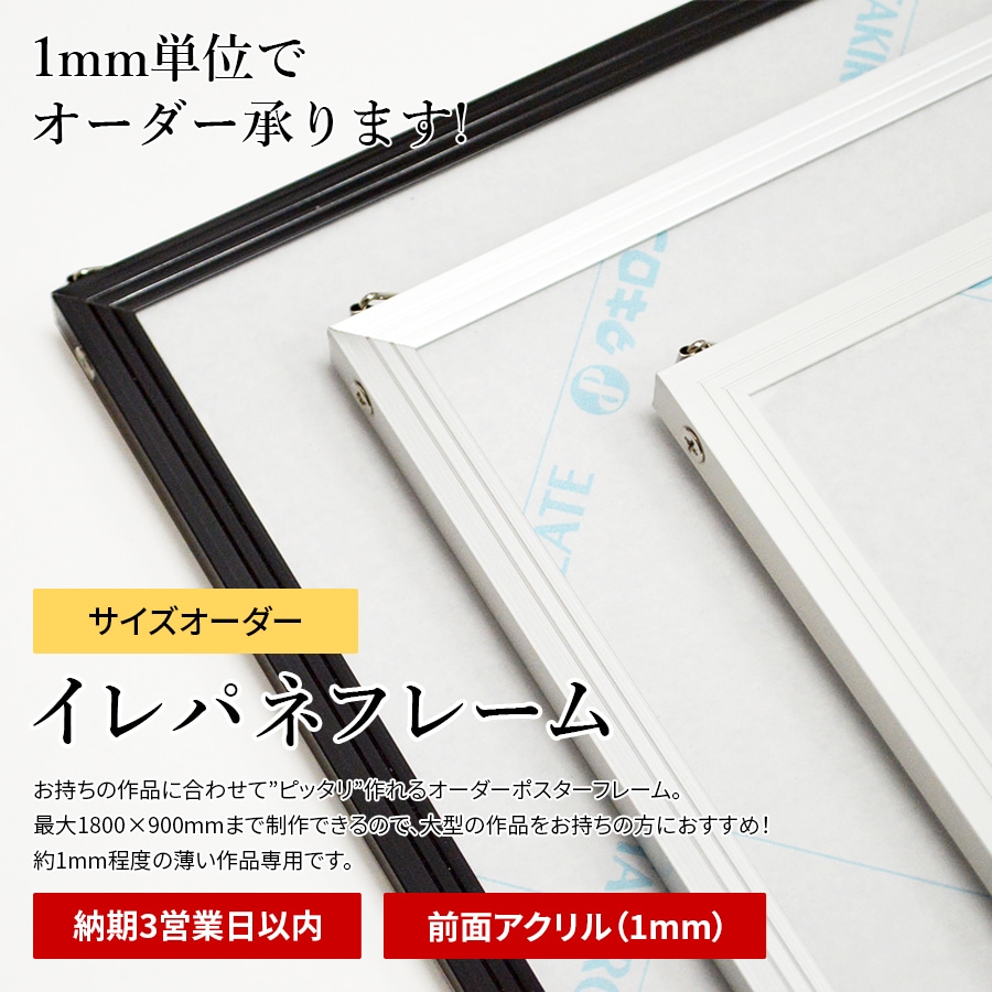 イレパネフレーム 特注サイズ 前面アクリル仕様（1mm厚） 【作品サイズ