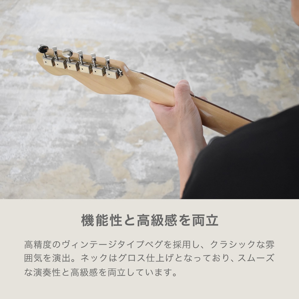 テレキャスターシンラインタイプ エレキギター SELDER TLT-20 ソフト