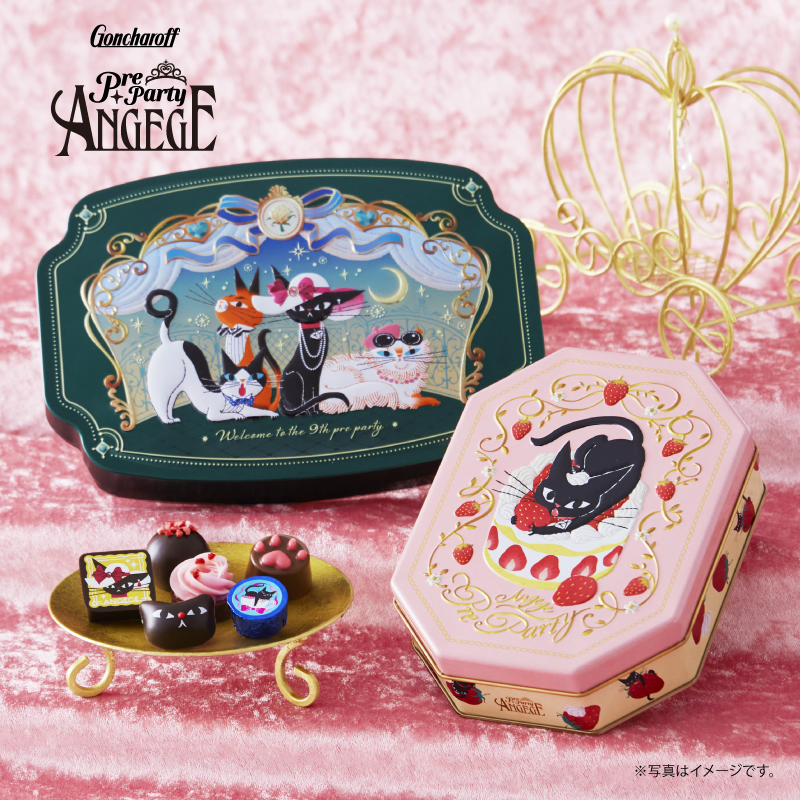 503 アンジュジュ C 5個 ゴンチャロフ アンジュジュ チョコレート