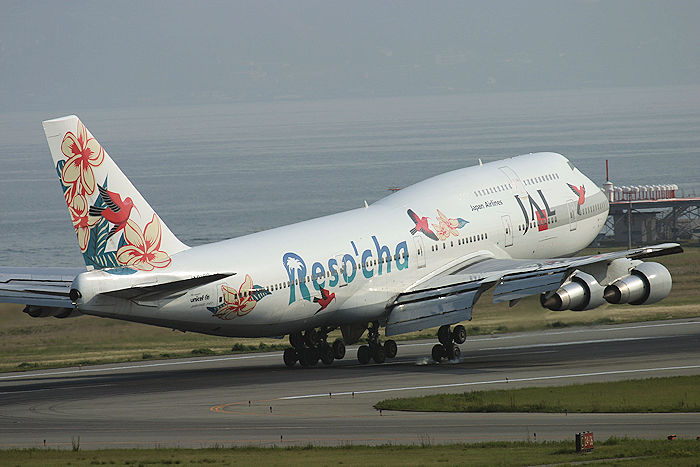 リゾッチャ（ホワイト） JAL（日本航空） B747-300SR JA8183