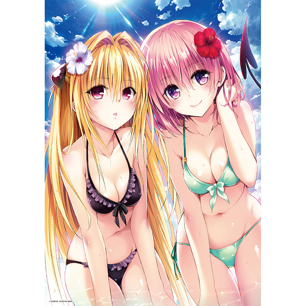 A3クリアポスター モモ・闇（水着） | Goo Goo Dept.