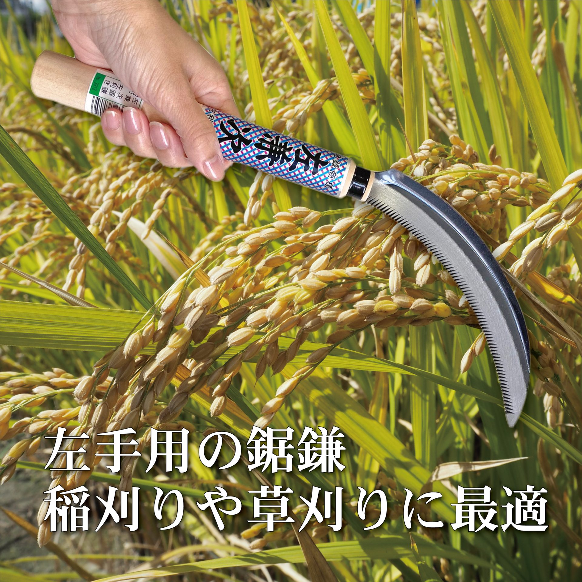 3913 - キンボシ株式会社