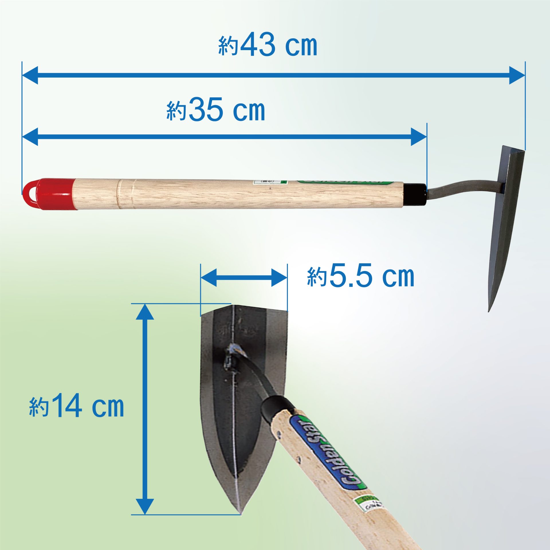 1410 - キンボシ株式会社