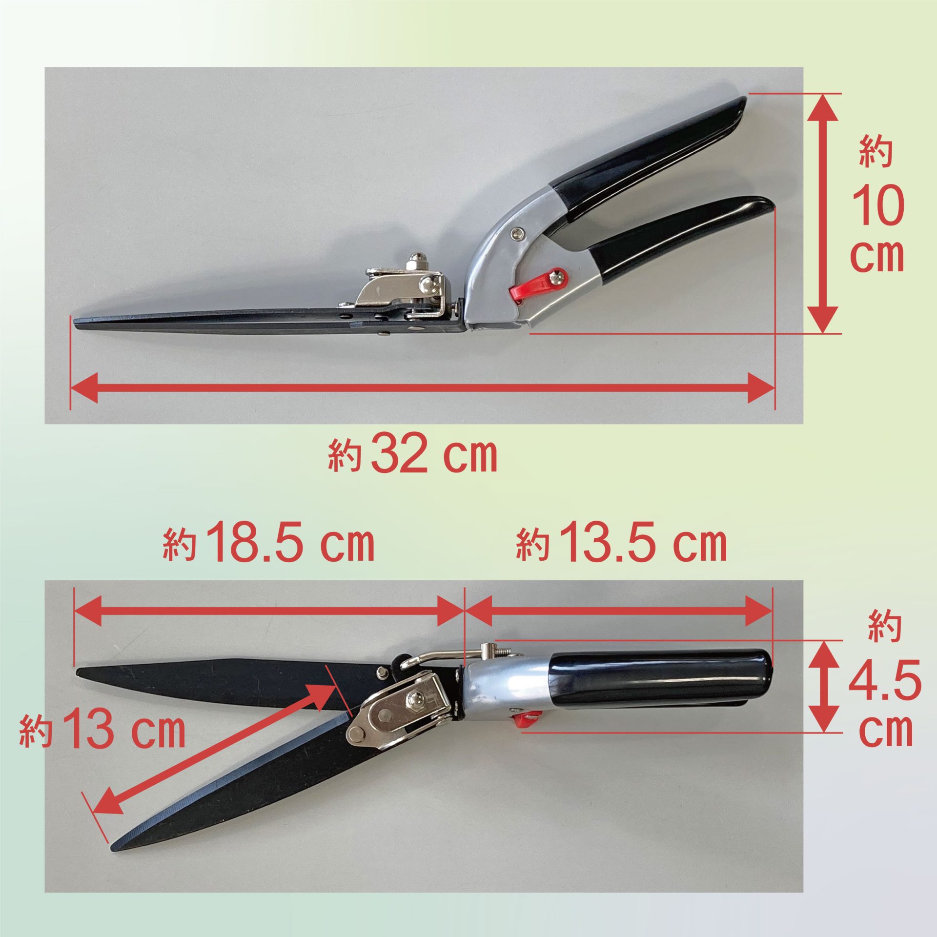 2101 - キンボシ株式会社