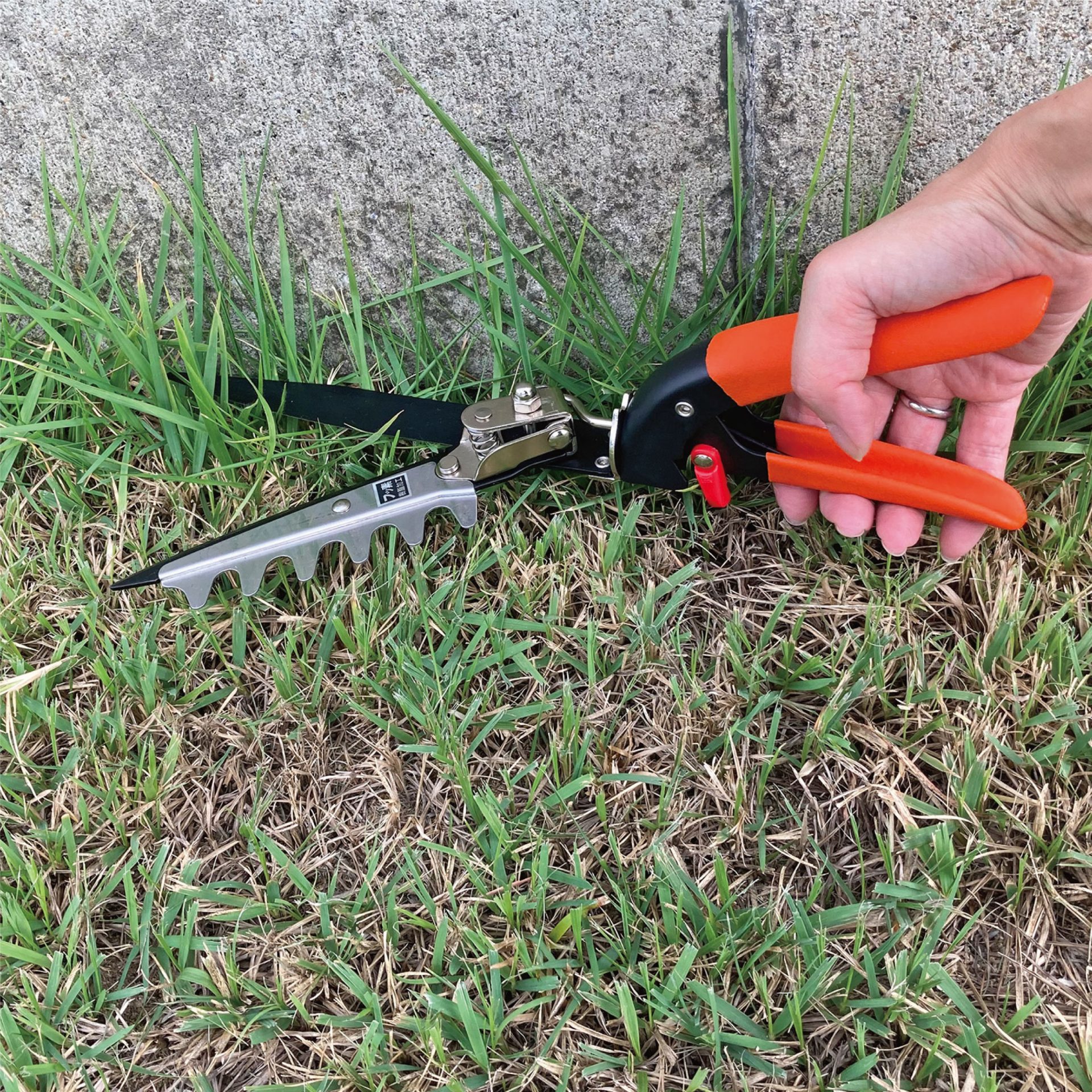 2103 - キンボシ株式会社