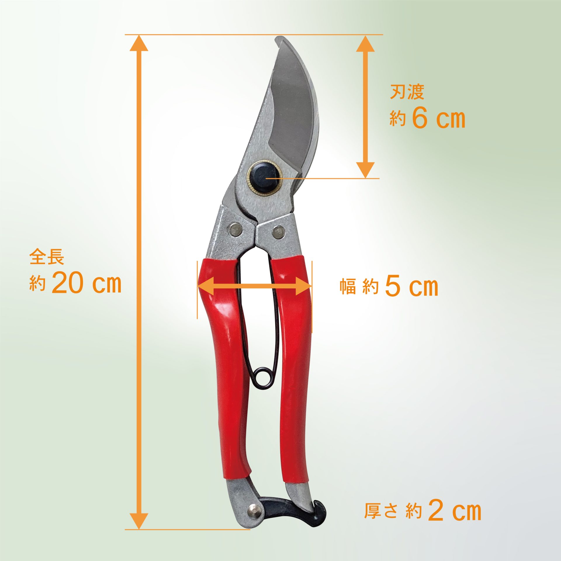 2246 - キンボシ株式会社