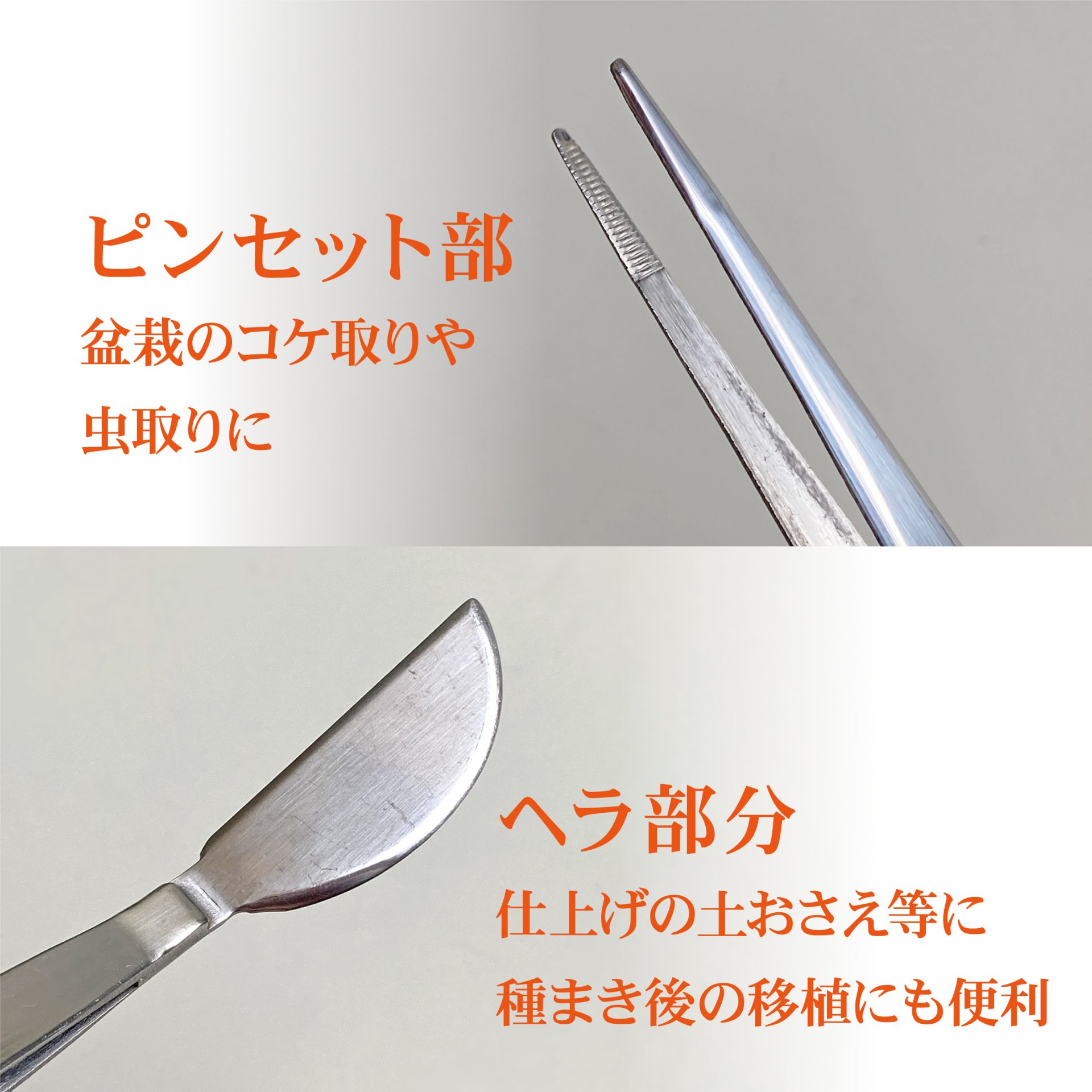 3514 - キンボシ株式会社