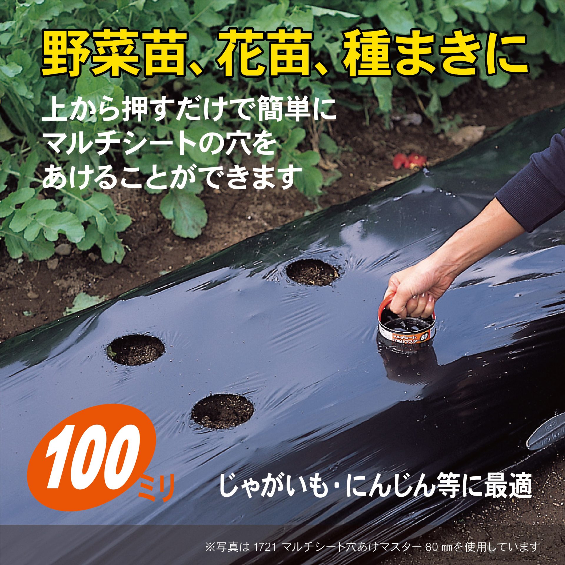 1722 - キンボシ株式会社