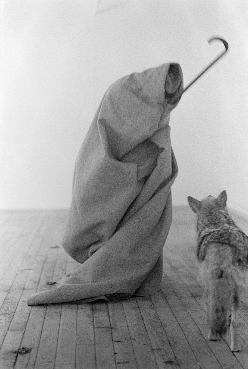 Beuys & the Coyote: On America's “Psychological Trauma Point