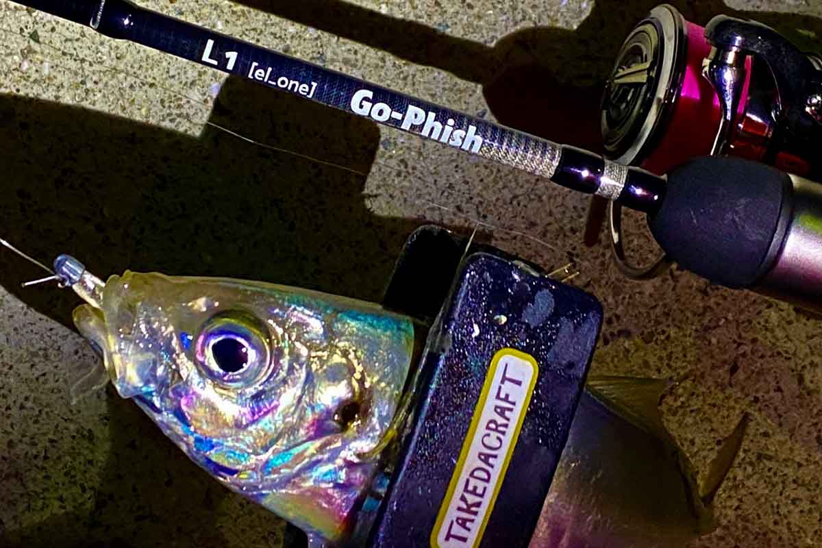 新たな名竿誕生の予感！Go-Phishのライトゲームロッド「L1torzite