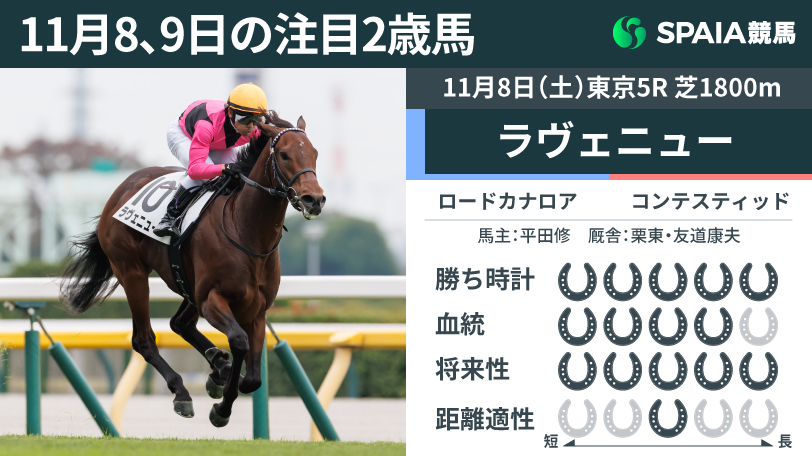 注目2歳馬】ロードカナロア産駒ラヴェニューが5馬身差勝ち クロワデュ
