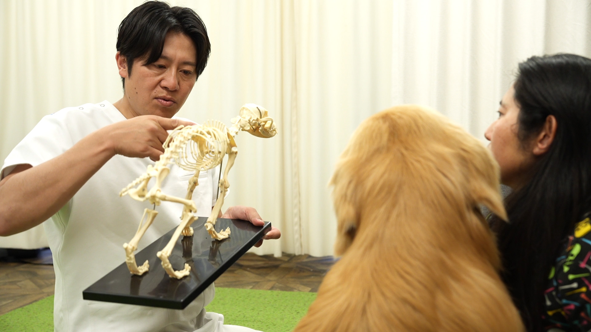 研修会・勉強会 | グリーンカイロプラクティック