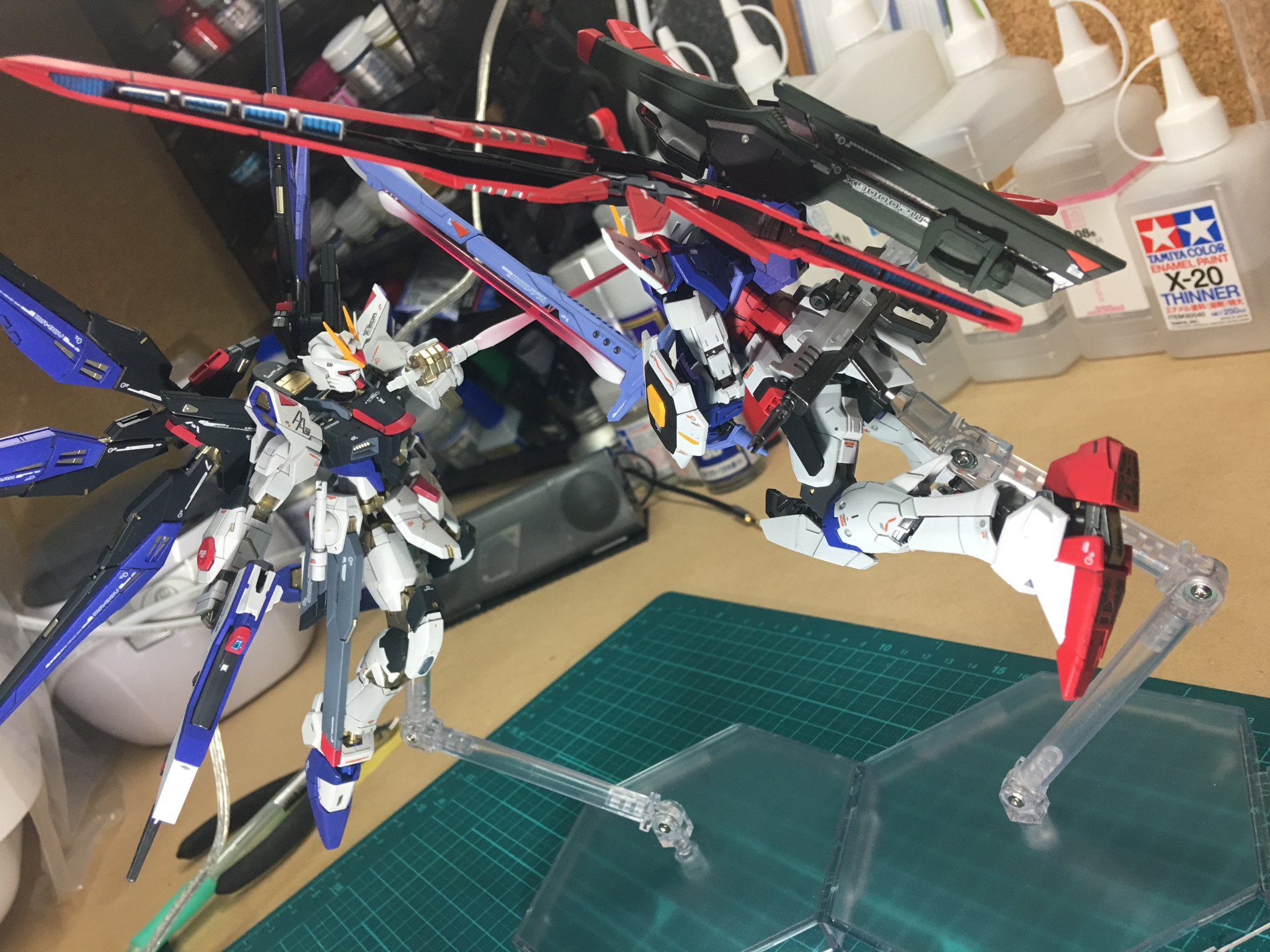 RG デスティニーガンダム 全塗装｜nimurodeさんのガンプラ作品