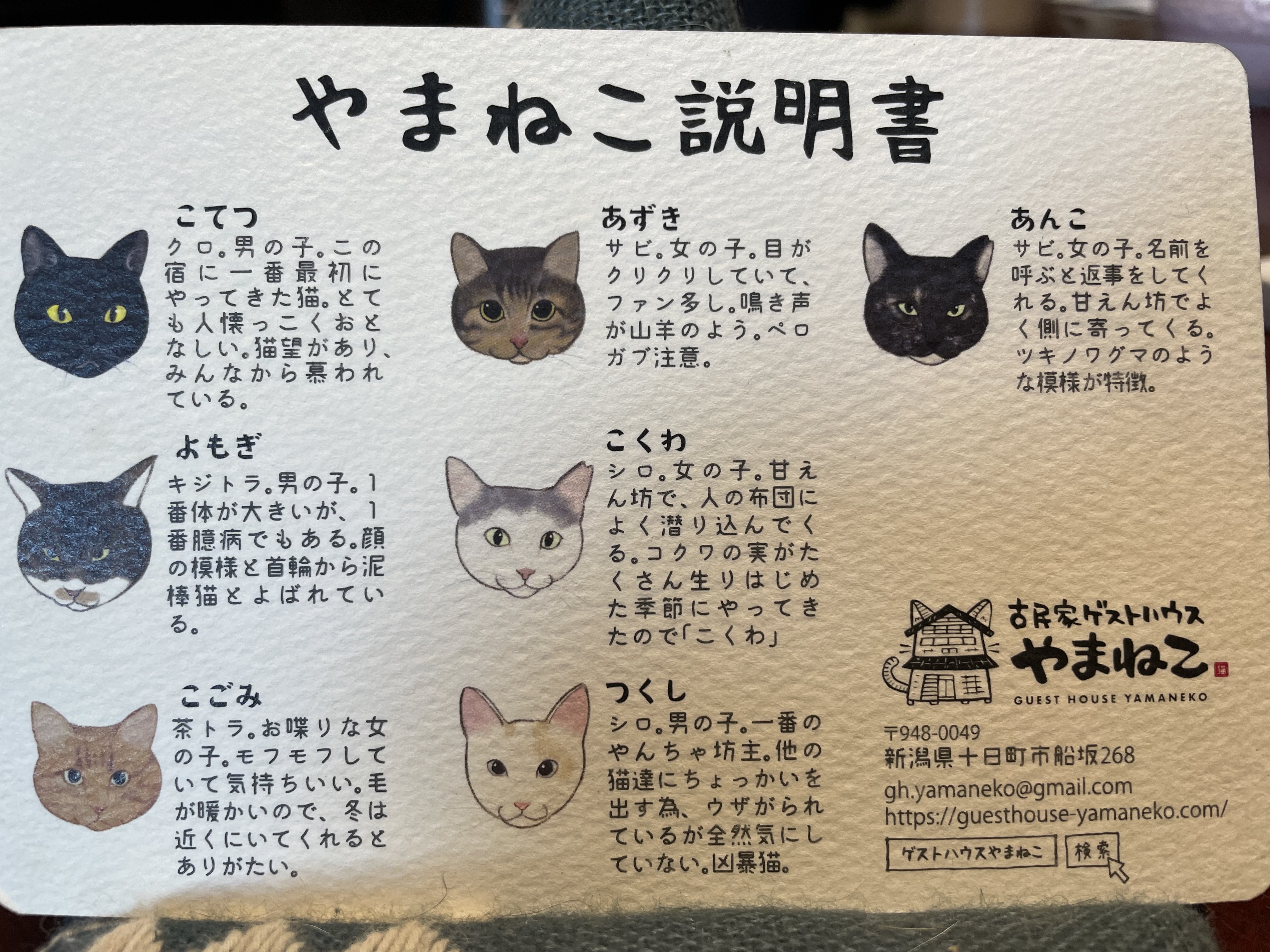 やまねこカレンダー2023 完売しました。 ｜ 古民家ゲストハウス やまねこ